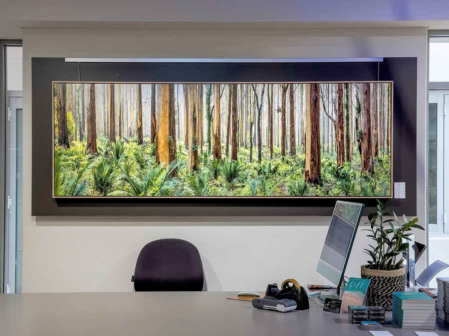 Boranup Forest Limited Edition 70x210cm stretched canvas with timber shadow line frame, 20/25