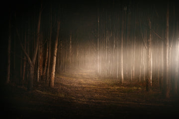 A dark photograph with light coming in from the sides , on a lonely dirt road through the forest, in South Western Australia.  Photograph is taken by renowned photographer, Christian Fletcher