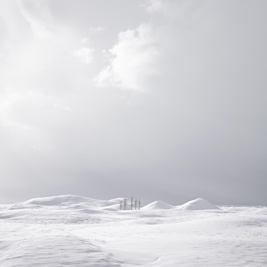 Lone Trees, Iceland | Christian Fletcher Photo Images | Landscape Photography Australia