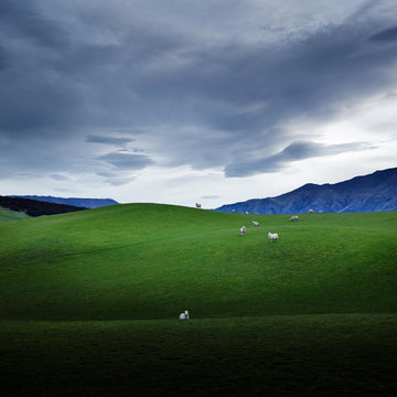 Farmland, Wanaka, South Island, New Zealand | Christian Fletcher Photo Images | Landscape Photography Australia