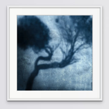 Shadow, Limited Edition 1/1, 30x30cm framed in white