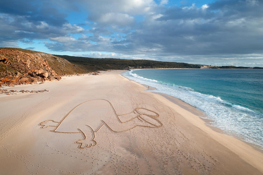Head in the Sand, Wyadup | Christian Fletcher Photo Images | Landscape Photography Australia