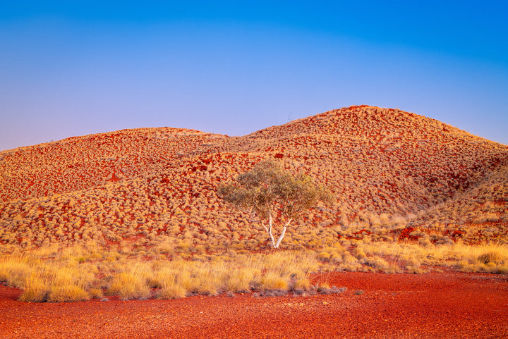 The Pilbara