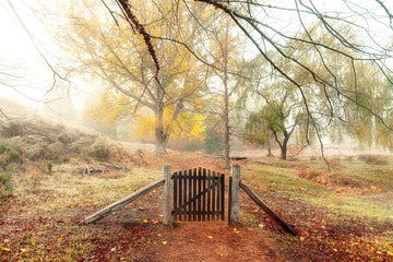 An autumn day at the Golden Valley Tree Park, with a pathway leading to a wooden gate.  Photograph taken by Christian Fletcher, Western Australia's leading landscape photographer.