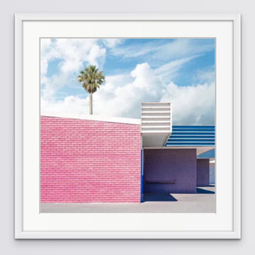 Palm trees + pink Limited Edition 75x75cm Framed in white with Ultra Glass