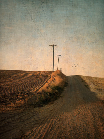 The Palouse, Washington, USA - Limited Edition 67x100cm Print Only