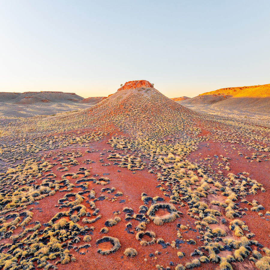 Warrawagine Station Pilbara LIMITED EDITION 1/1 90X90CM STRETCHED CANVAS FRAMED IN BLACK ORNATE SHADOW LINE FRAME