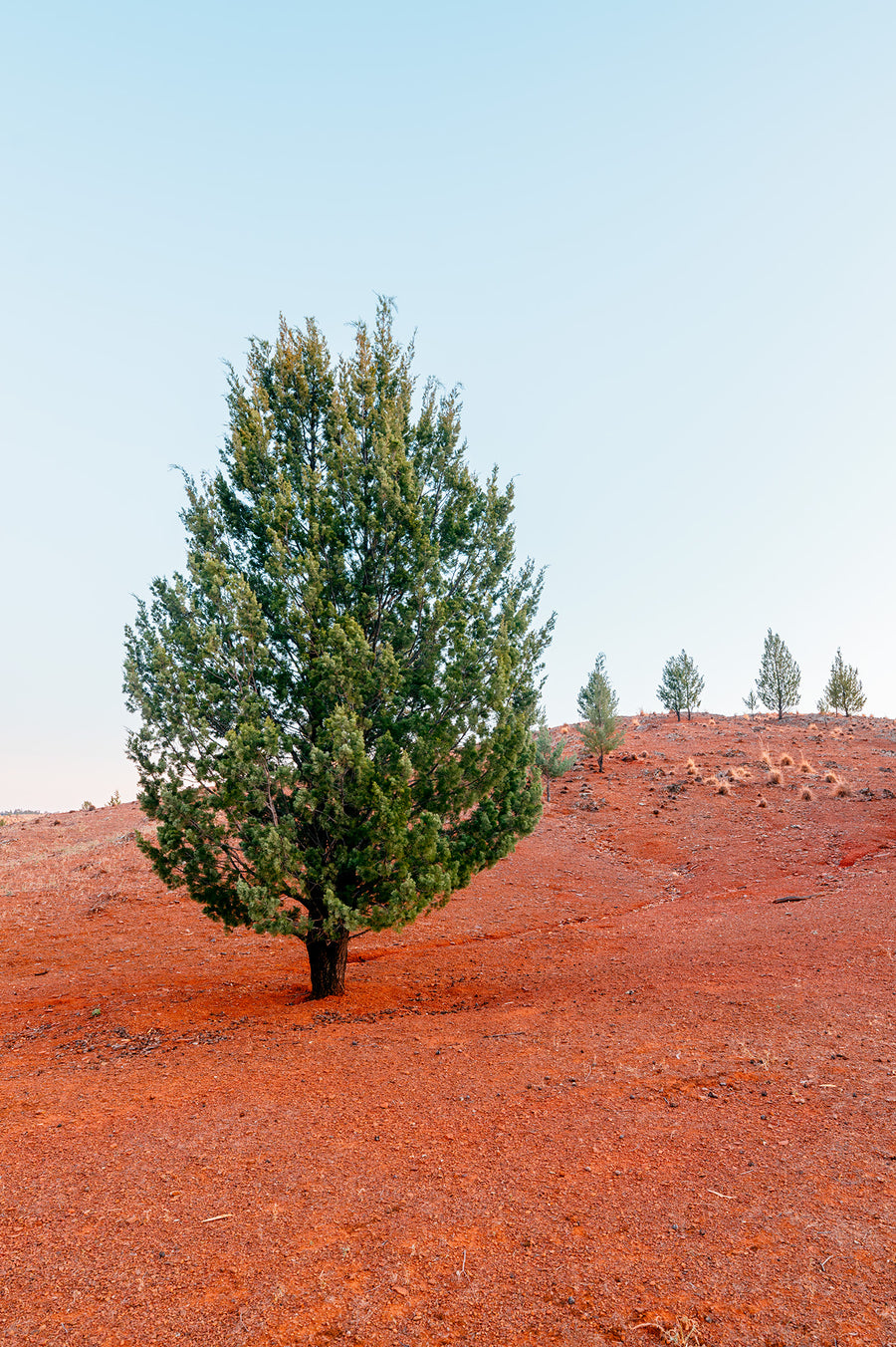 Flinders Ranges, South Australia - Limited Edition