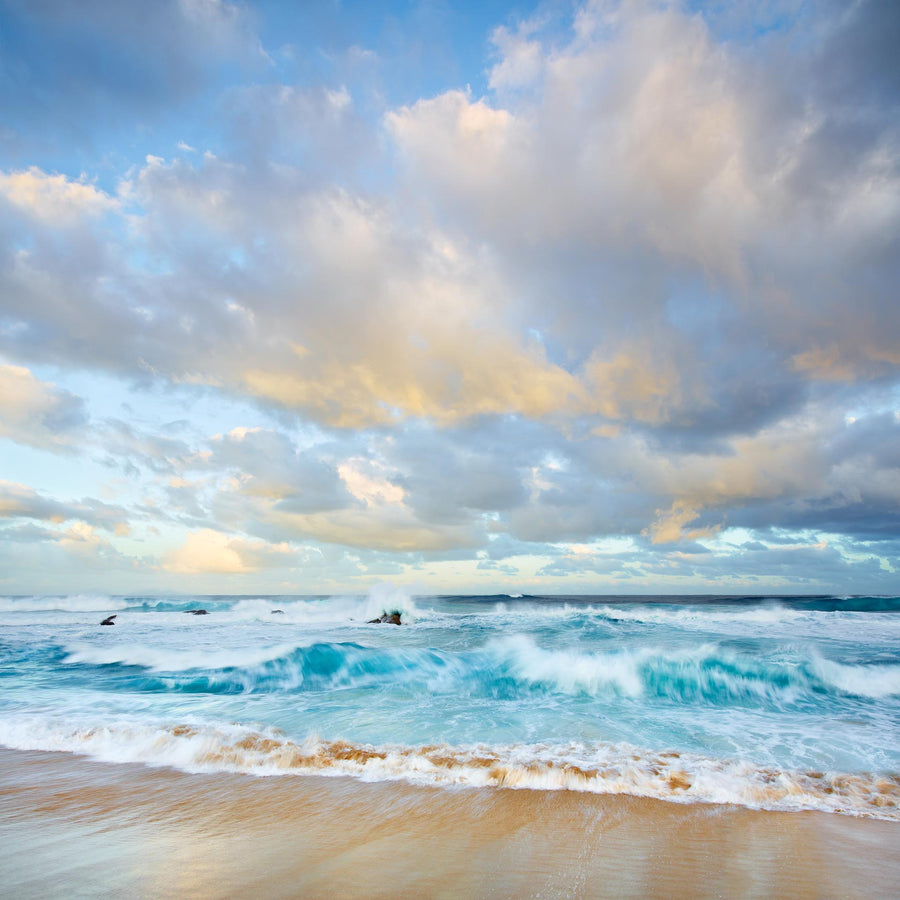 Honeycombs Beach 25x25cm Framed stretched canvas with feature marri shadow line frame