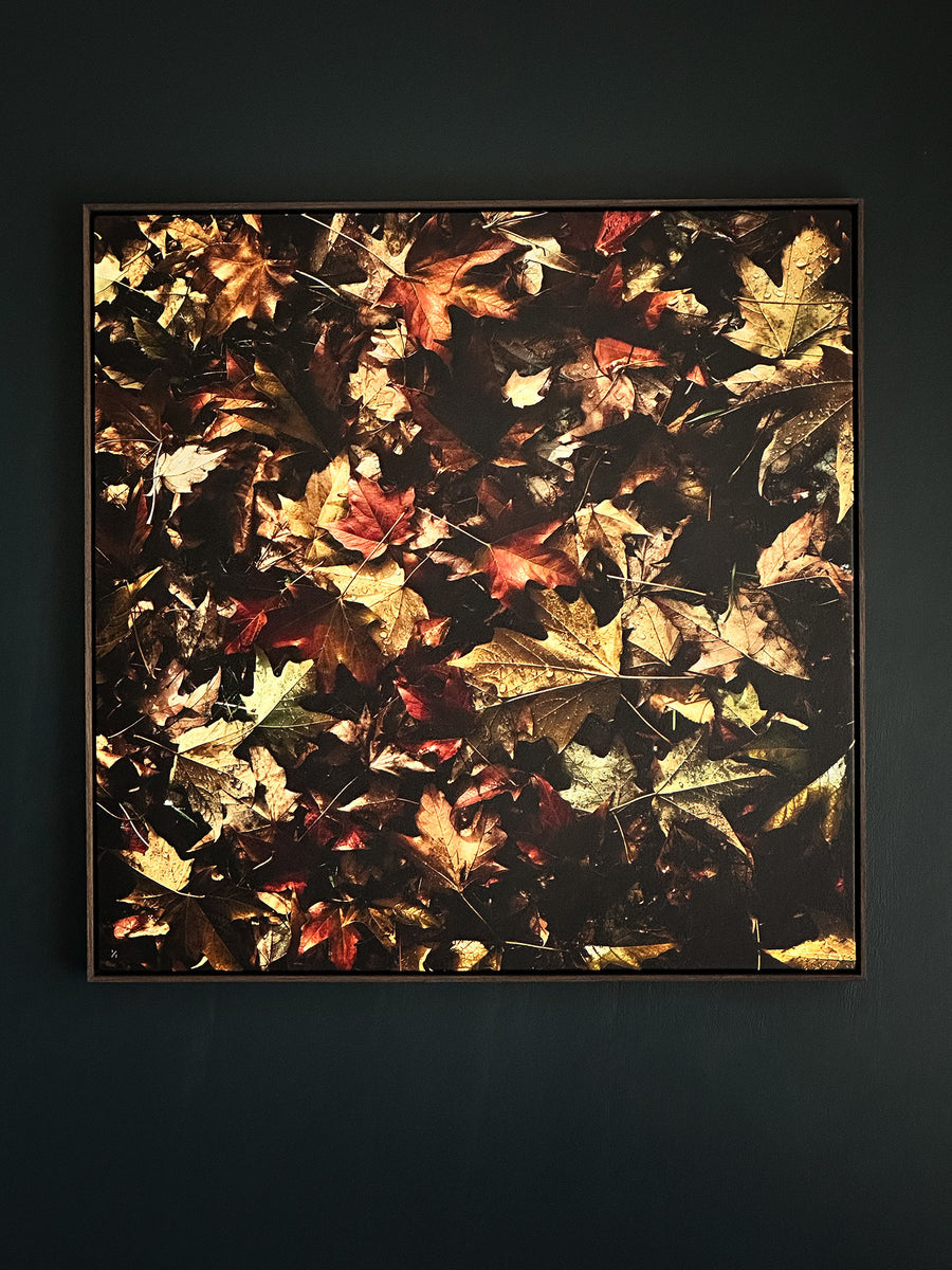 Autumn Leaves, LIMITED EDITION 1/1, 80x80CM STRETCHED CANVAS WITH CHOCOLATE SHADOW LINE FRAME