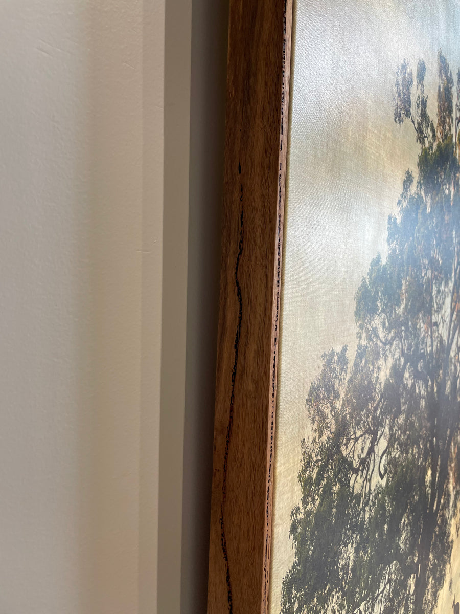 KANGAROOS UNDER THE MARRI TREE, LIMITED EDITION 100x150cm stretched canvas with hand crafted marri shadow line frame