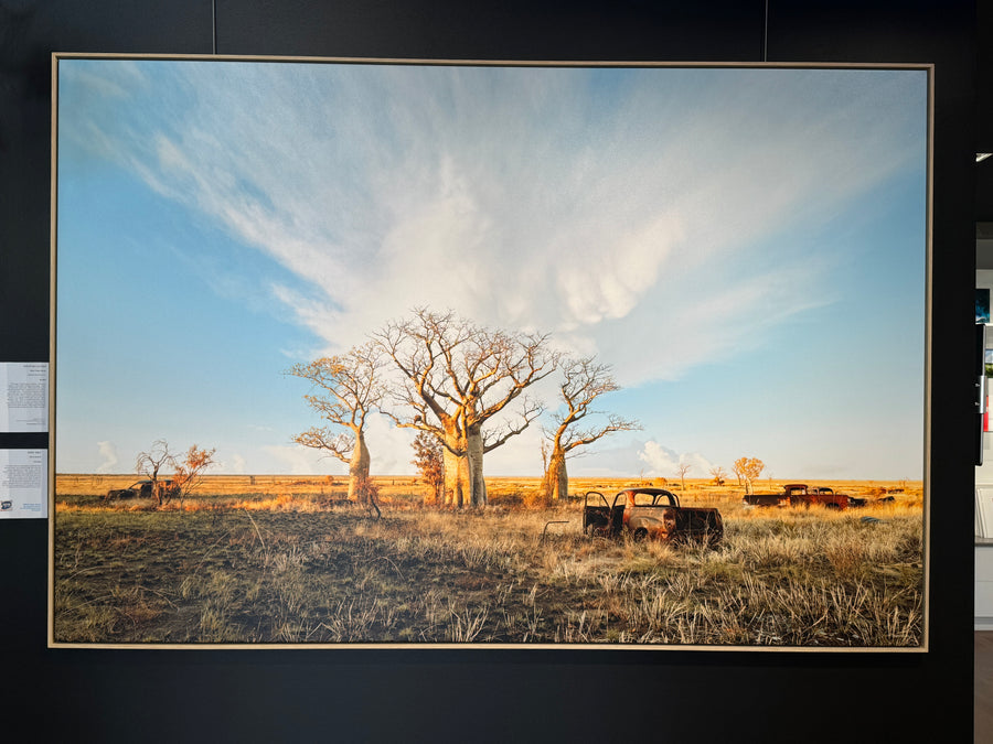 Boab Trees, Derby LIMITED EDITION 1/1 116X175CM FRAMED STRETCHED CANVAS WITH timber SHADOW LINE FRAME