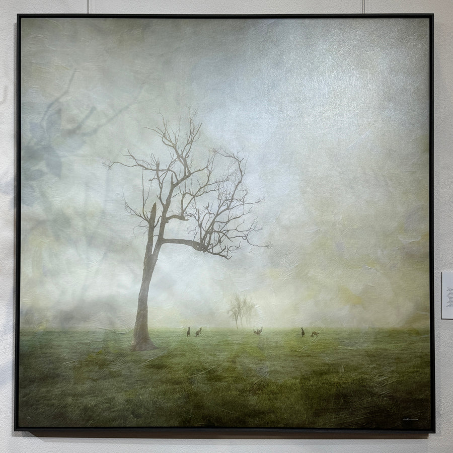 Quindalup Fog LIMITED EDITION 1/1 120X120CM FRAMED STRETCHED CANVAS WITH CHARCOAL SHADOW LINE FRAME