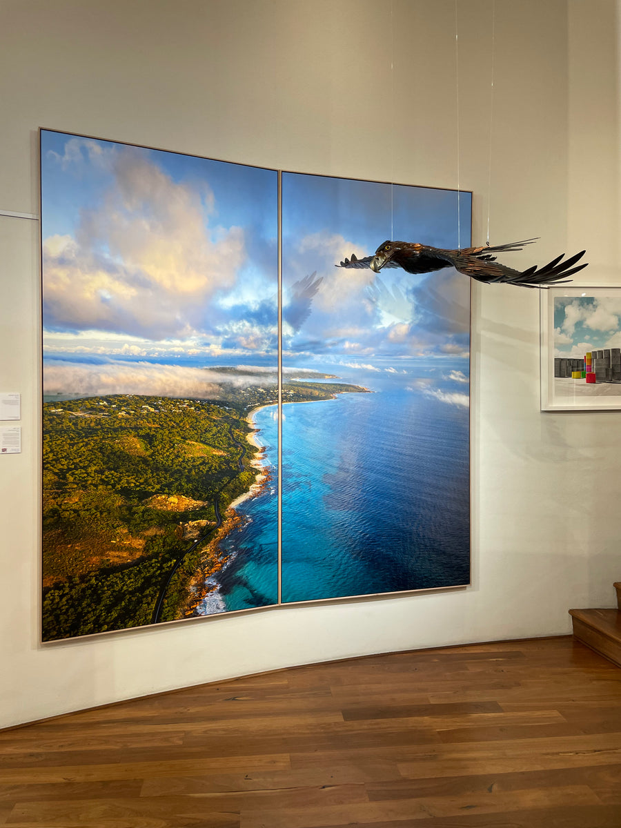 Kerry Sibly - Waalitj (Wedge Tailed Eagle)