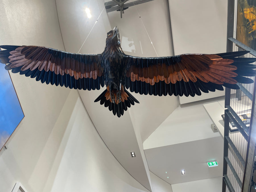 Kerry Sibly - Waalitj (Wedge Tailed Eagle)