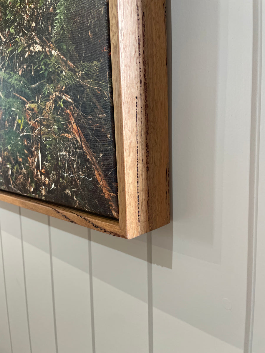 Boranup Forest Limited Edition 1/1 -  113x150cm Stretched Canvas with feature marri Shadow Line Frame