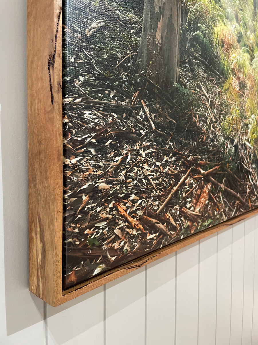 Boranup Forest Limited Edition 1/1 -  113x150cm Stretched Canvas with feature marri Shadow Line Frame