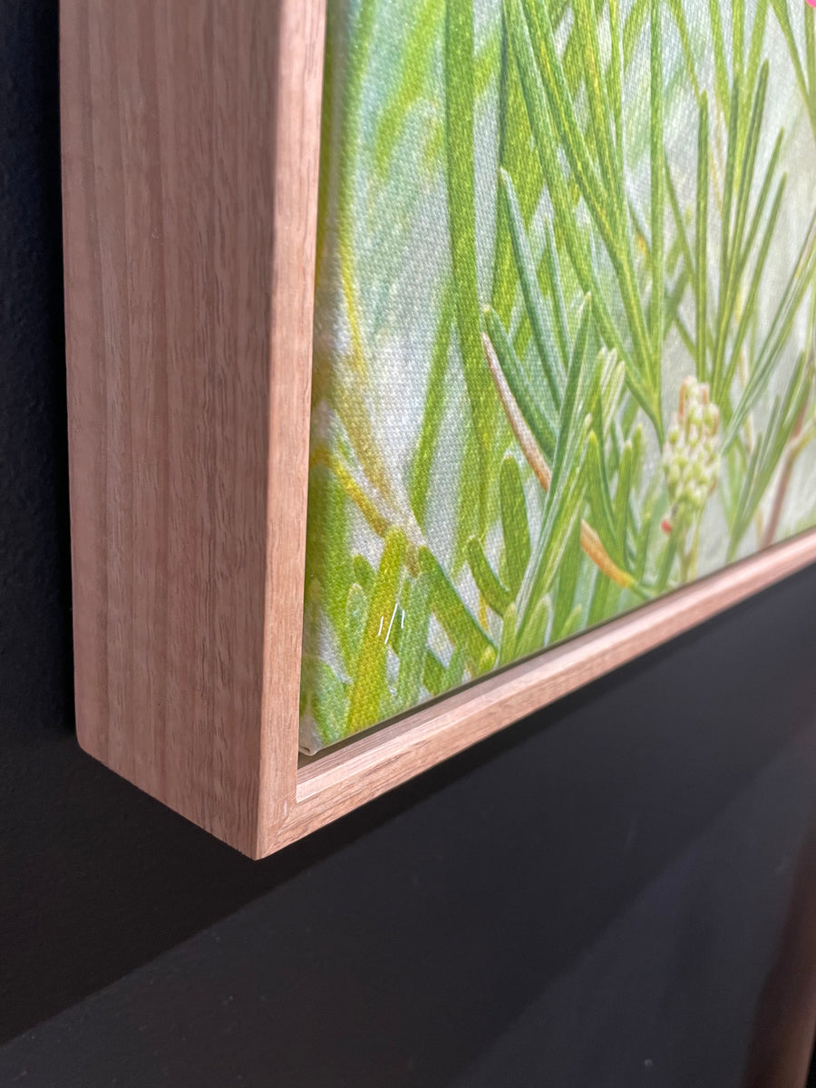 Grevillea Limited Edition 1/1 -  67x100cm Stretched Canvas with handcrafted Marri Timber Frame