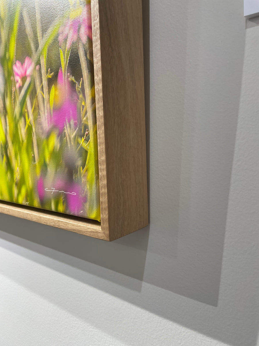 Wildflowers, Mid West Limited Edition 1/1 -  83x125cm Stretched Canvas with handcrafted Marri Frame