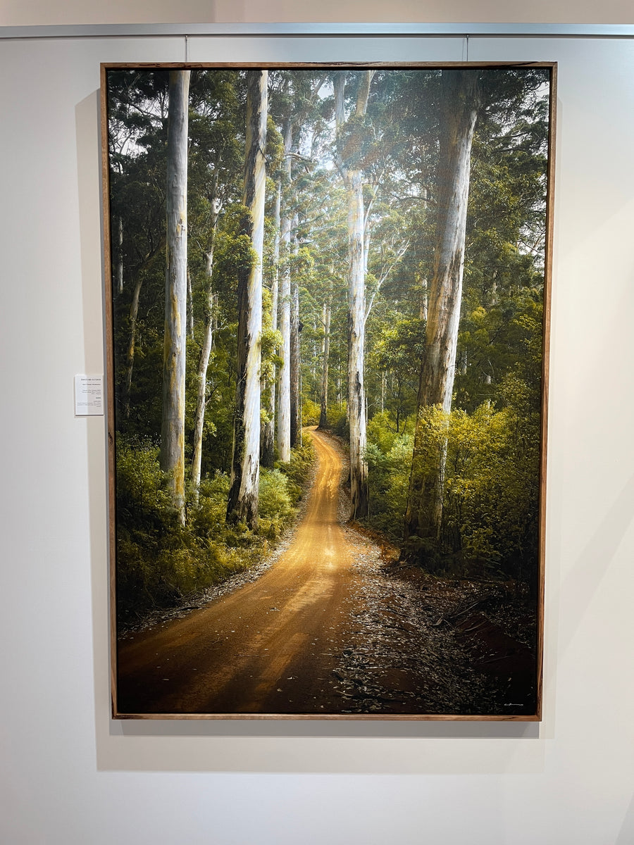 Karri Forest, 100x150cm  Stretched Canvas with handcrafted Feature Marri Timber Frame