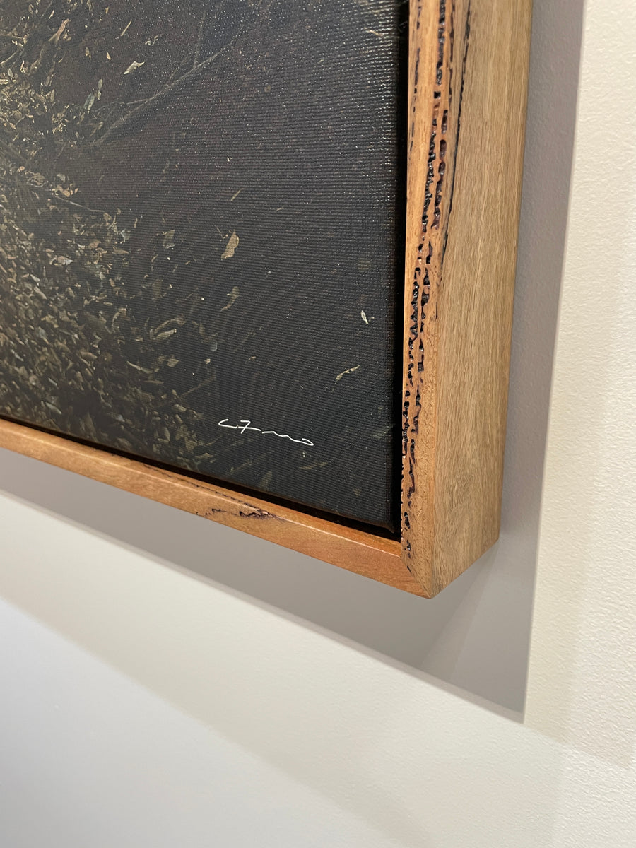 Karri Forest, 100x150cm  Stretched Canvas with handcrafted Feature Marri Timber Frame