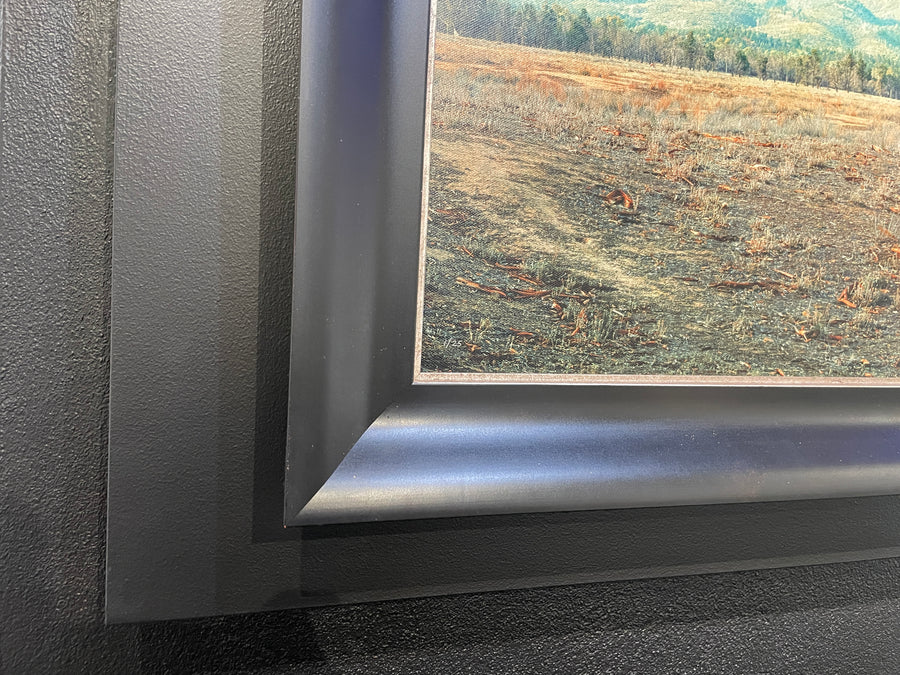 The Cazneaux Tree, Flinders Ranges - limited edition 70x210cm stretched canvas with black Bellini Frame