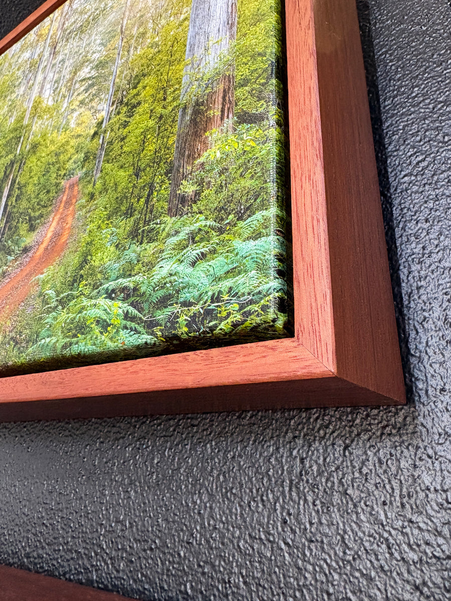 Karri Forest 25x25cm Framed stretched canvas with Karri shadow line frame