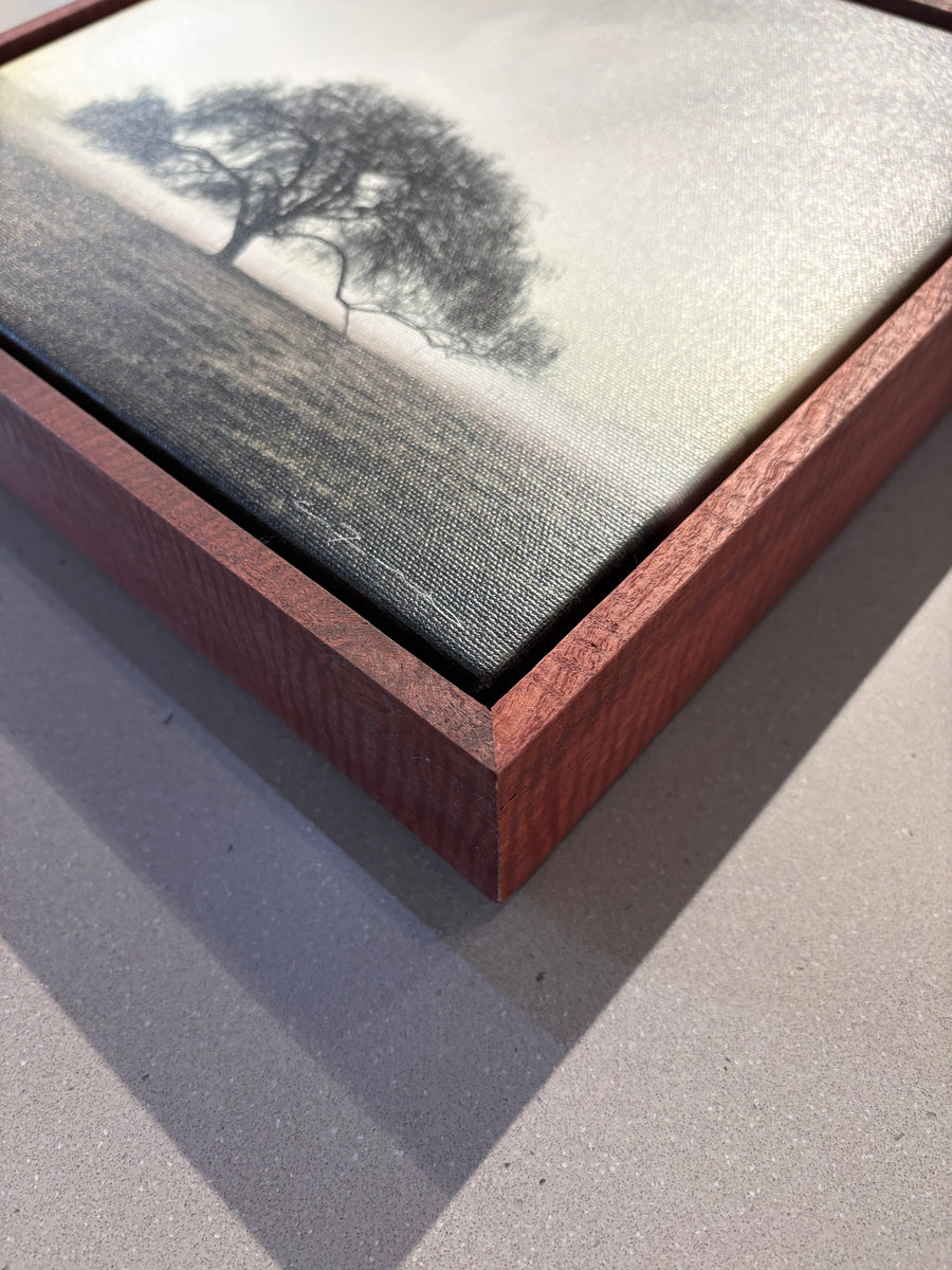 Cowaramup 25x25cm stretched canvas with Jarrah shadow line frame