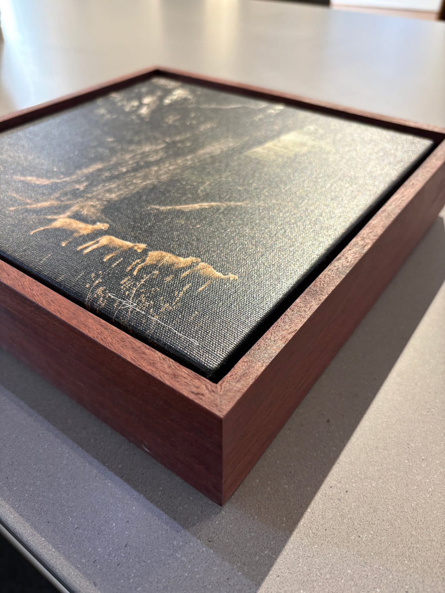 Sheep 25x25cm stretched canvas with handcrafted Jarrah shadow line frame