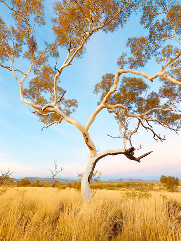 Karijini National Park, Pilbara, North Western Australia