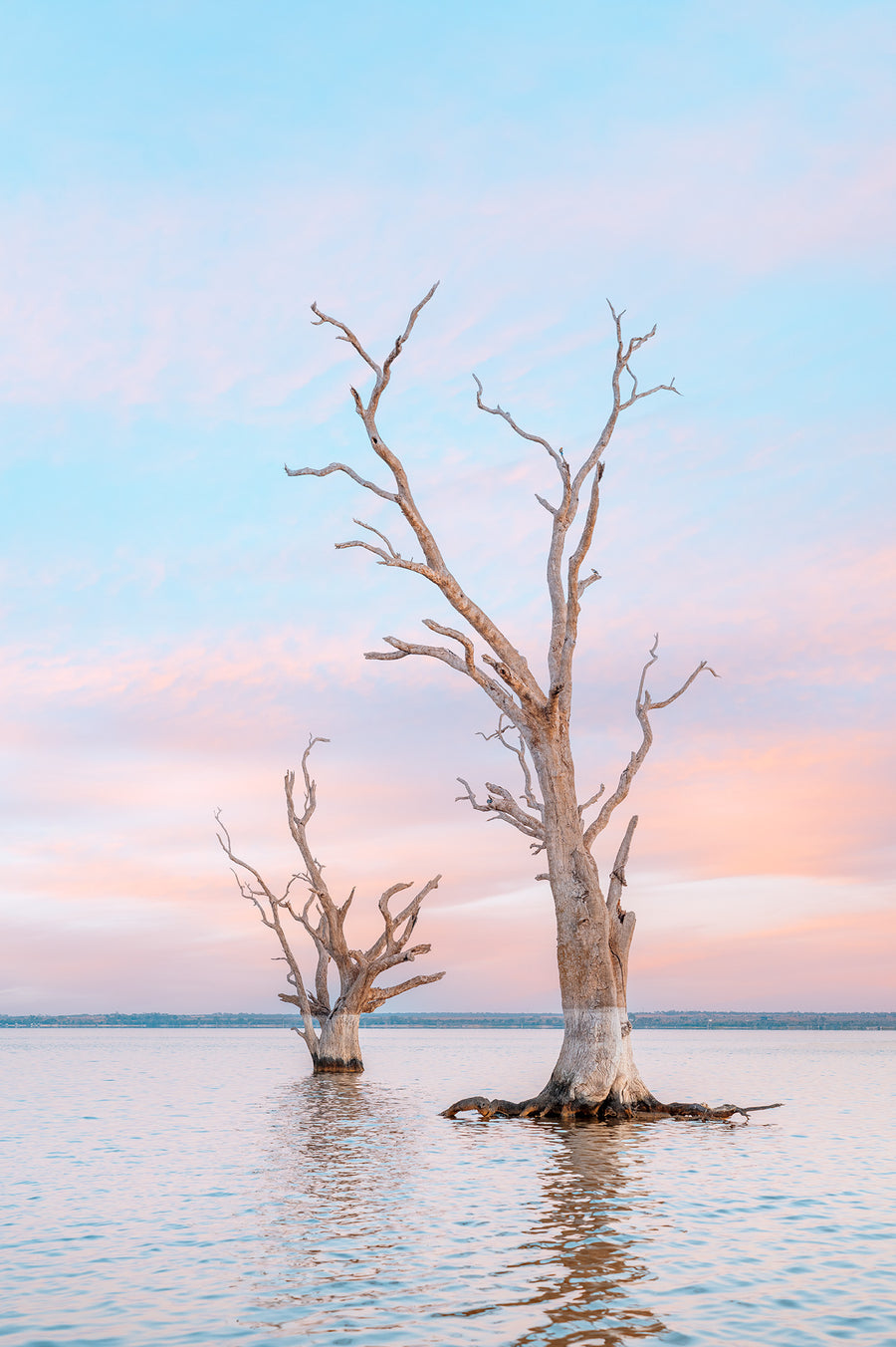 Lake Bonney, South Australia