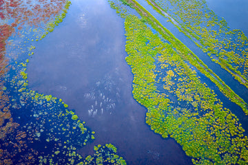 Wetlands, Ludlow, Busselton, South Western Australia