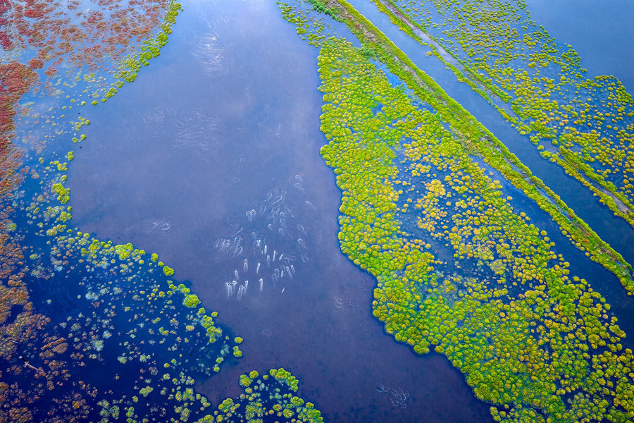 Wetlands, Ludlow, Busselton, South Western Australia