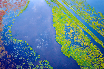 Wetlands, Ludlow, Busselton, South Western Australia