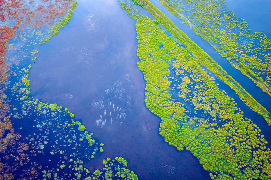 Wetlands, Ludlow, Busselton, South Western Australia