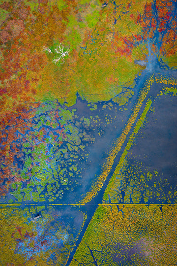 Wetlands, Ludlow, Busselton, South Western Australia