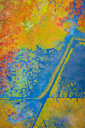 Wetlands, Ludlow, Busselton, South Western Australia
