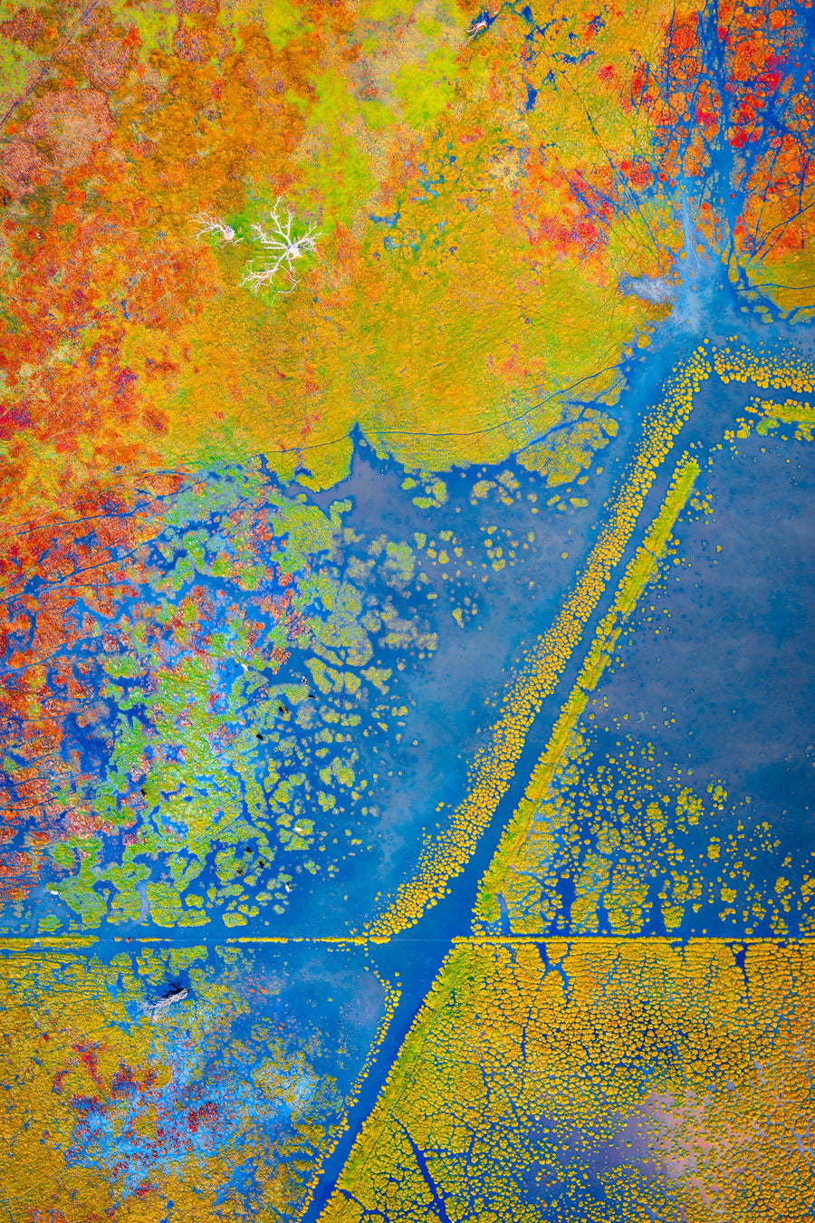 Wetlands, Ludlow, Busselton, South Western Australia