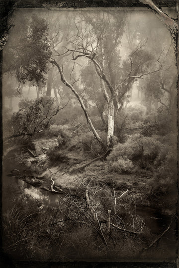 Blackwood River, Nannup, South Western Australia - LIMITED EDITION