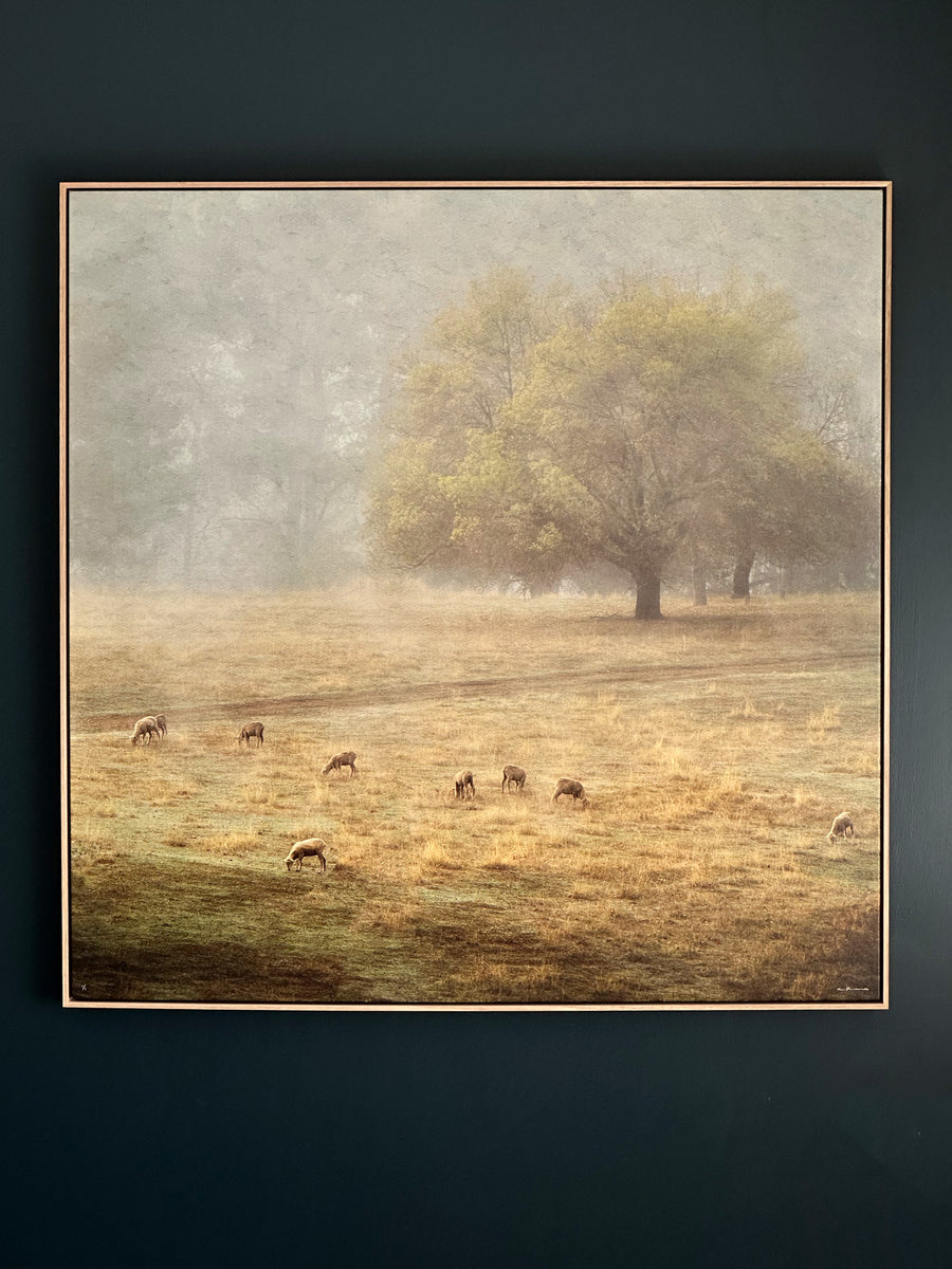 Nannup Farm Land, LIMITED EDITION 1/1, 120x120CM STRETCHED CANVAS WITH TIMBER SHADOW LINE FRAME