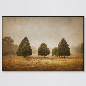 Golden Valley Tree Park Limited Edition 133x210cm stretched canvas with oak shadow line frame