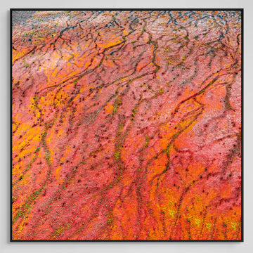 Pilbara Limited Edition 1/1  - 115x115cm Stretched canvas with Black Shadow Line Frame