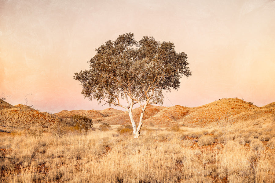 Skull Springs Road, Pilbara, North Western Australia