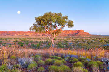 Purnululu National Park, Kimberley, North Western Australia - Limited Edition