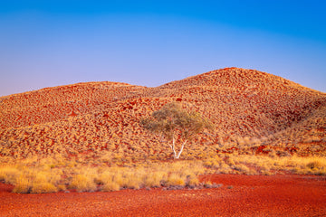 Skull Springs Road, Pilbara, NORTH WESTERN AUSTRALIA