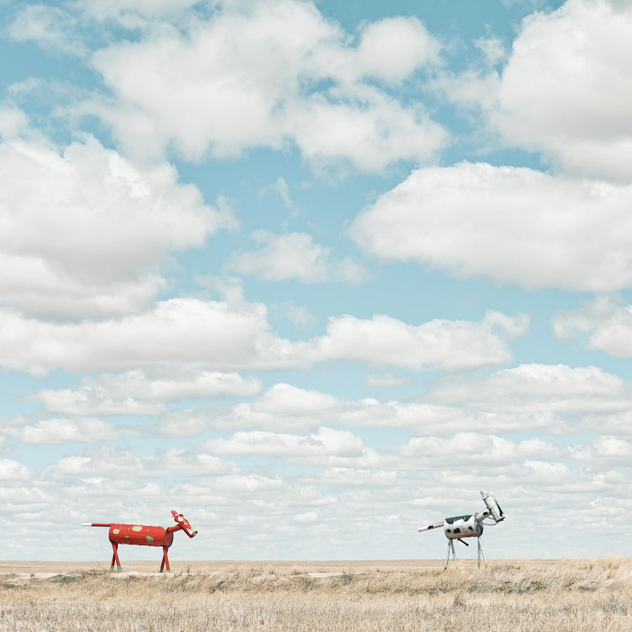 Tin Horse Highway, Kulin - 15/25 Limited Edition - 65 x 65cm Framed in Timber with Non-Reflective Glass