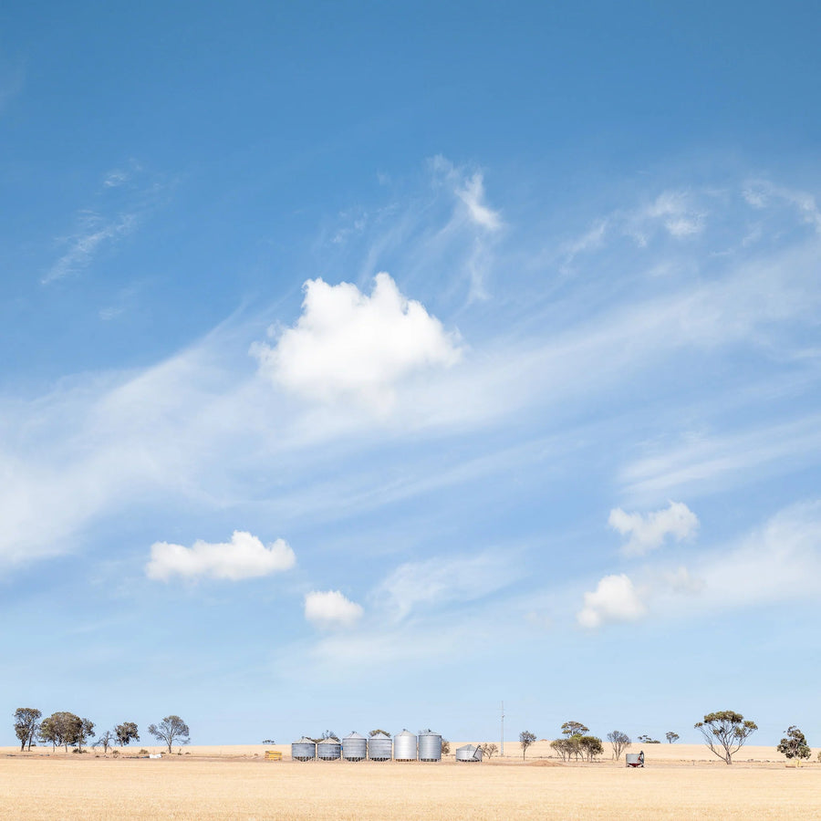 Wheatbelt Farm Land, 100x100cm framed in white