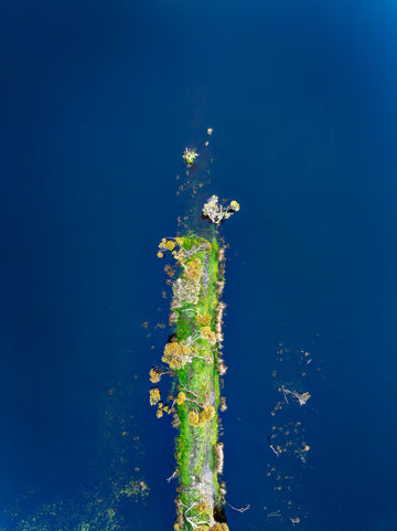 Quindalup Wetlands, South Western Australia - Limited Edition 67x100cm Print Only