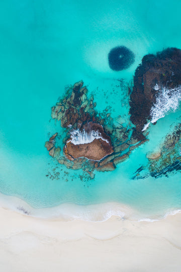 Bait Ball, Yallingup, South Western Australia