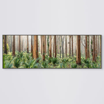 Boranup Forest Limited Edition 80x240cm stretched canvas with charcoal shadow line frame #25/25